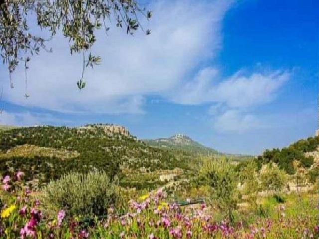 طقس معتدل الحرارة في أغلب المناطق الاثنين