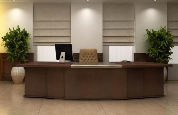 ما هي مهام مدير البلدية في مشروع قانون الإدارة المحلية الجديد؟