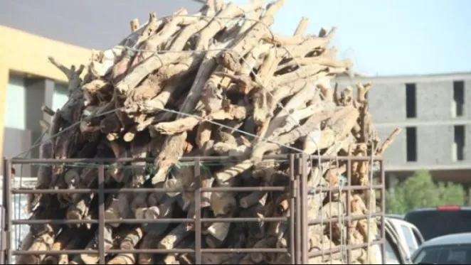 زراعة عجلون": ضبط مركبة محملة بحطب حرجي