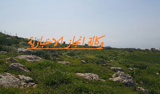 اجواء لطيفة اليوم وامطار متفرقة الاثنين