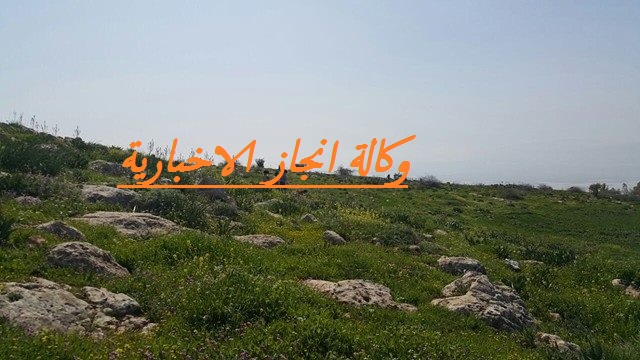 اجواء لطيفة اليوم وامطار متفرقة الاثنين