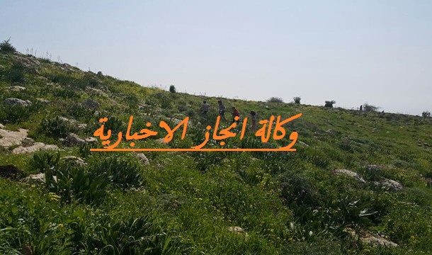 طقس بارد نسبيا