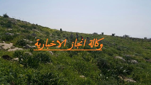 طقس بارد نسبيا