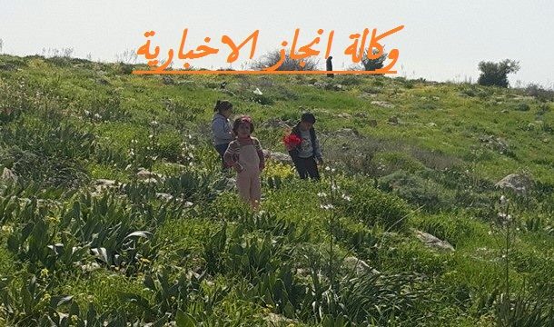 الطقس: ارتفاع على درجات الحرارة