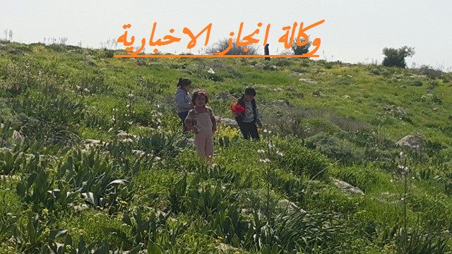 الطقس: ارتفاع على درجات الحرارة