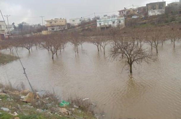 الامطار في عجلون تساهم في تحسين الزراعات