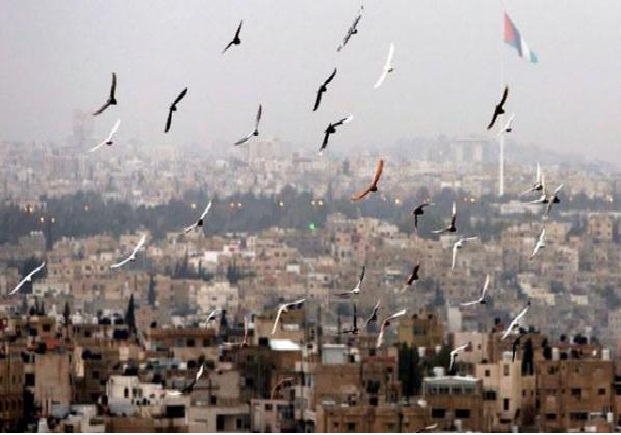 الخميس .. أجواء خريفية معتدلة في معظم المناطق