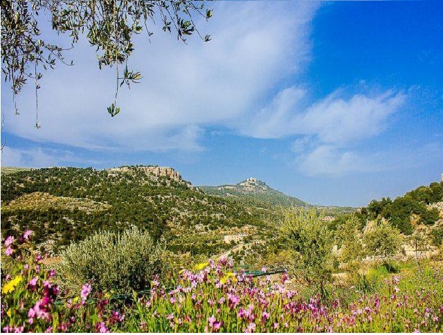 الجمعه ..اجواء غالبا مشمسة ولطيفة الحرارة