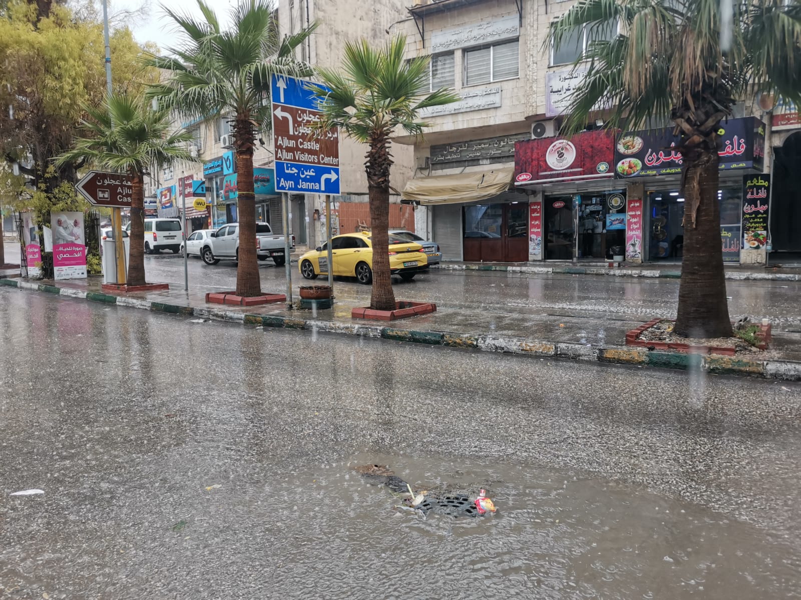 عجلون:امطار الخير تسهم بتعزيز التنمية الزراعيه 
