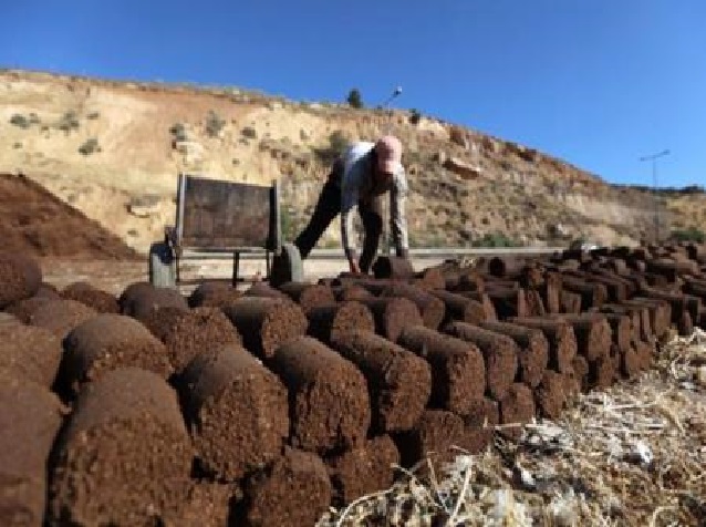 الجفت حطب الفقراء ووسيلة للتدفئة في عجلون