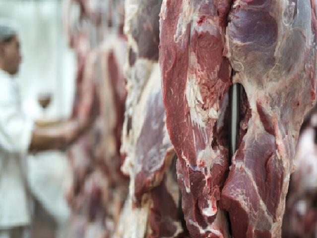 توقعات بإنخفاض أسعار اللحوم في الاسواق المحلية