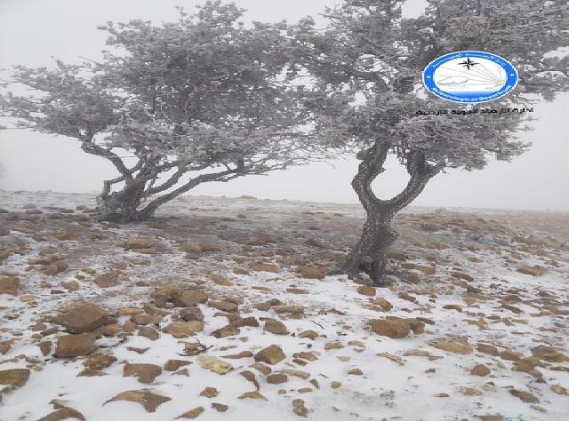 شاهد صور للثلوج التي شهدتها مرتفعات الهيشة في الشوبك