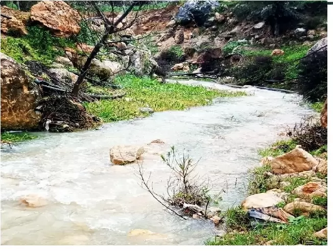 وادي الطواحين :مياه دائمة الجريان وطبيعه ساحرة وسط مطالب بتوفير الخدمات 