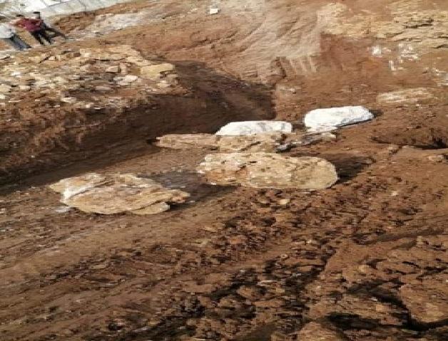 بعمر 94 عاما..مسنّ عجلوني يوفر على بلدية الجنيد 300 ألف دينار