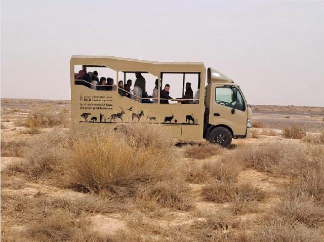الجمعية الملكية لحماية الطبيعة تطلق تجربة سفاري بحافلات جديدة في محمية الشومري
