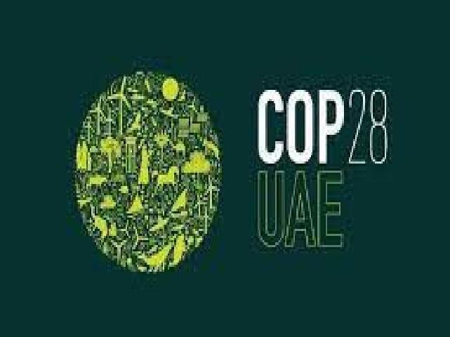 الإمارات حليف عالمي في التصدي لتغير المناخ