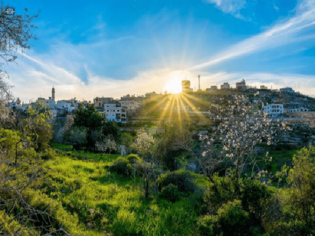  أجواء دافئة هذا الأسبوع
