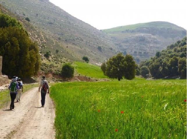 الجمعه....اجواء مناسبة للرحــلات