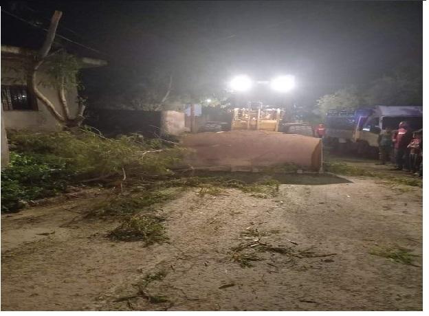 بلدية شرحبيل بن حسنة تتعامل مع حادث تساقط الأشجار بسبب شده الرياح