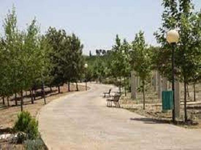 الأمانة: إغلاق حدائق الحسين الخميس