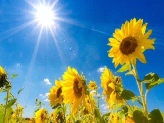 استمرار تأثر الأردن بالموجة الحارة السبت