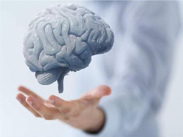 تأثير صحة الدماغ على القدرات الإدارية للفرد