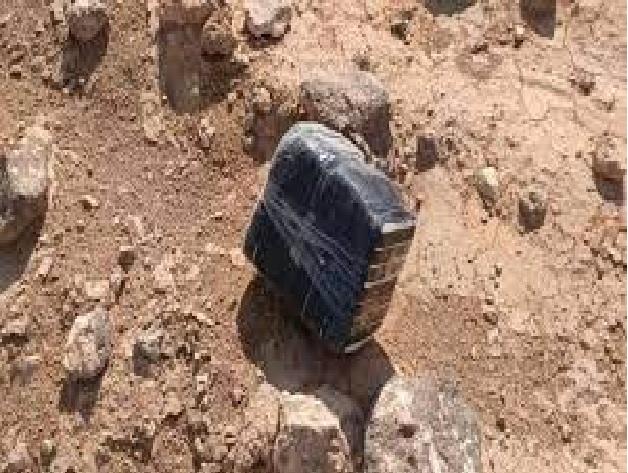 القوات المسلحة الأردنية تعترض طائرة مسيرة قادمة من سوريا
