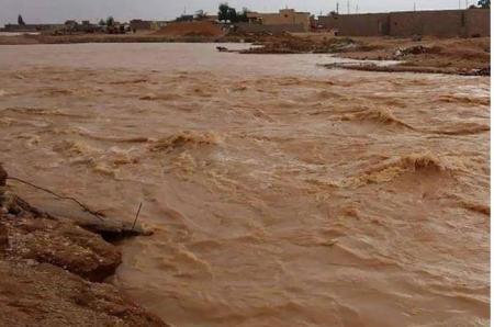 انقاذ 4 مواطنين حاصرتهم السيول في الرويشد