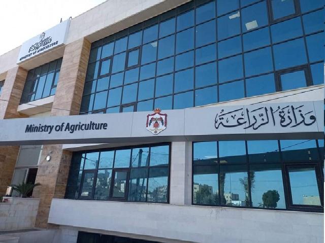 الزراعة تنفي وجود إصابات بالصقيع في مزروعات وادي الأردن