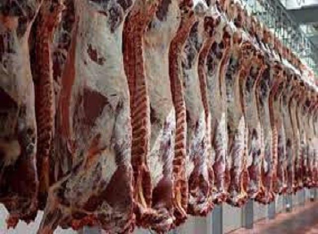 إتلاف 250 كغم من اللحوم لمخالفتها الشروط بجرش