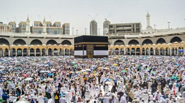 الخلايلة: حافلات احتياطية سترافق الحجاج إلى المدينة المنورة