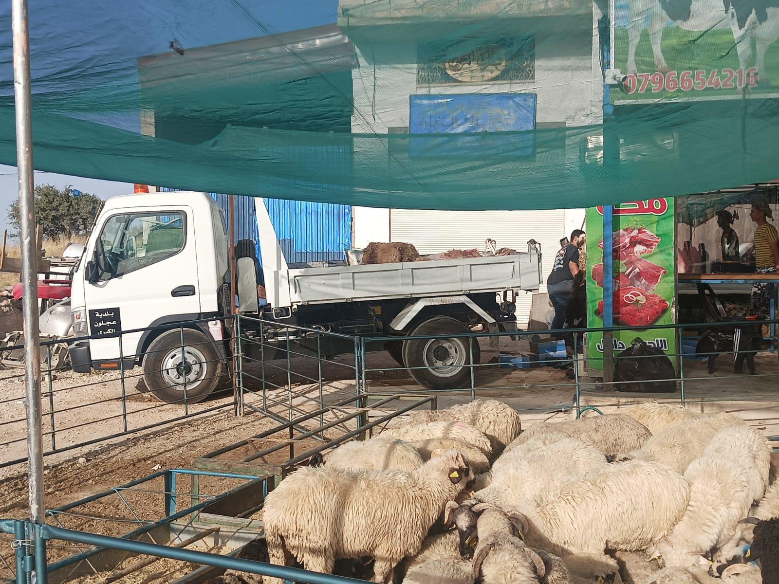 بلدية عجلون تعد خطة عمل للحفاظ على الوضع البيئي خلال العيد