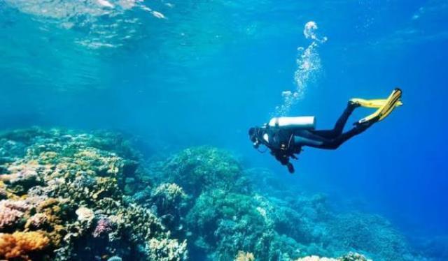 مساعٍ لإدراج محمية العقبة البحرية على قائمة التراث العالمي