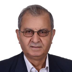 أزمة لبنان * أحمد ذيبان