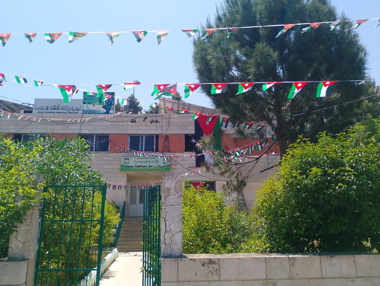 زراعة عجلون تتزين بالأعلام الأردنية وتستعد للمشاركة في احتفالات عيد الاستقلال الـ79