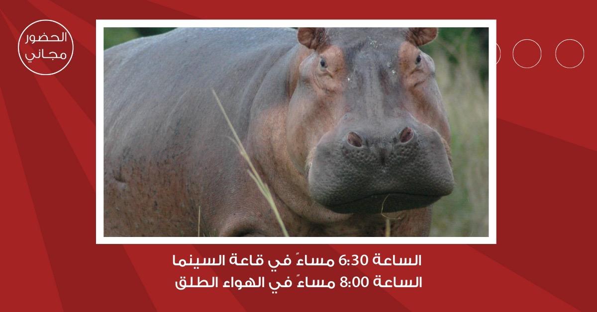 لجنة السينما في مؤسسة عبد الحميد شومان تعرض الفيلم الدومينيكي 