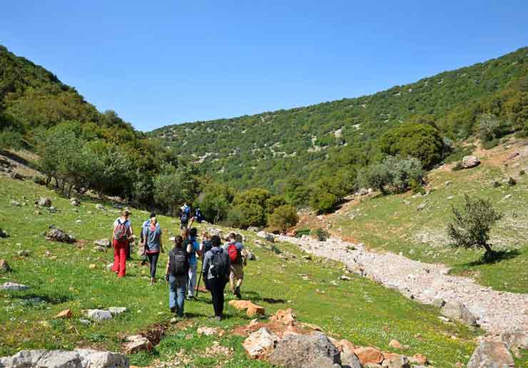 المسارات السياحية في عجلون تجذب هواة المغامرة والطبيعة