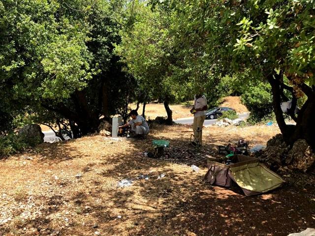  عجلون: مطالب باستحداث حدائق عامة لتنظيم التنزه وحماية البيئة