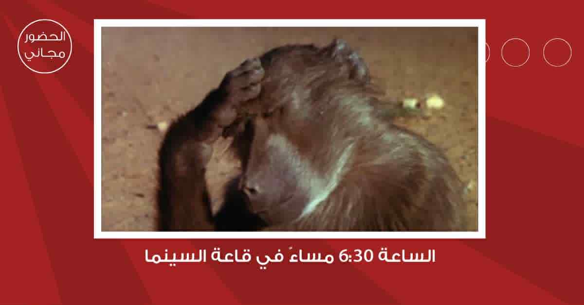 سينما 