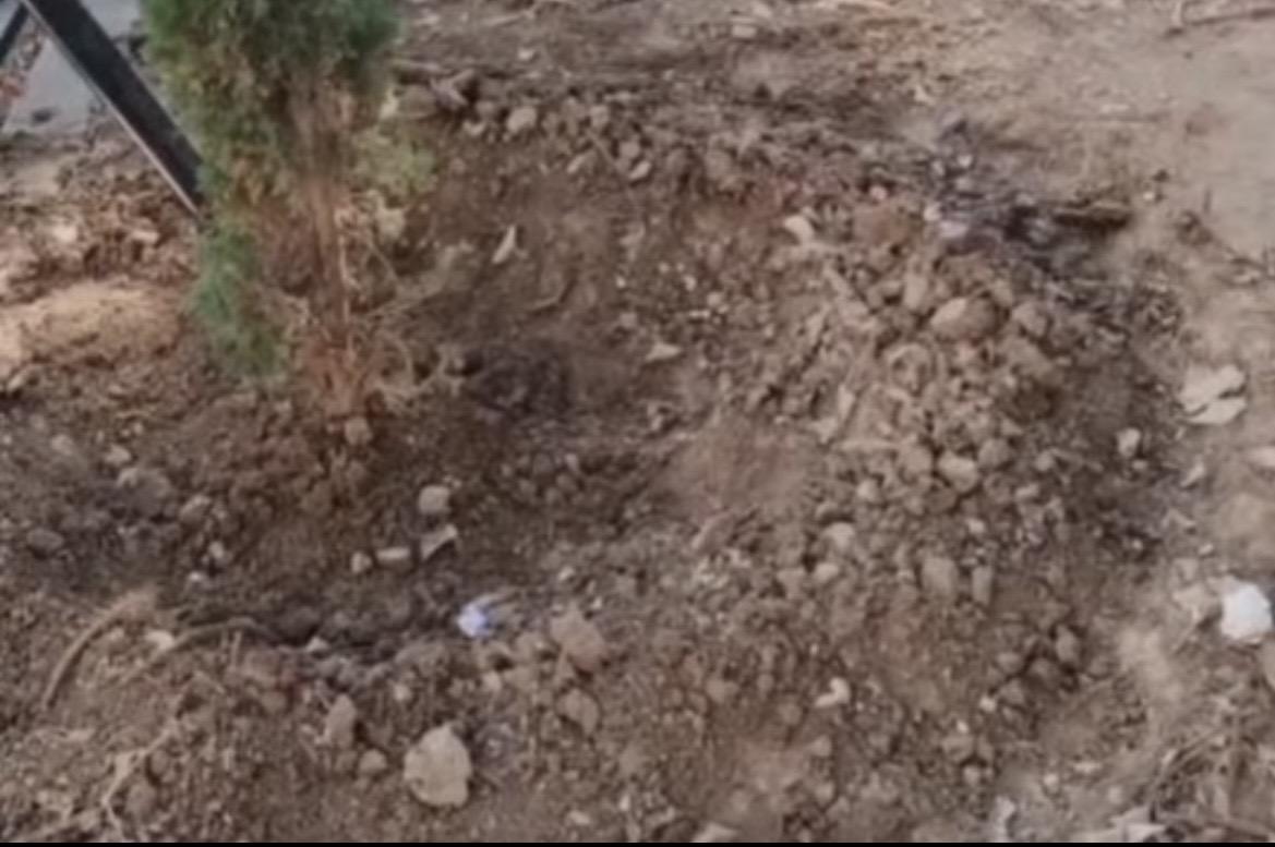 مدرسة وادي الريان الثانوية المهنية للبنين تنفذ حملة نظافة شاملة اليوم الجمعة