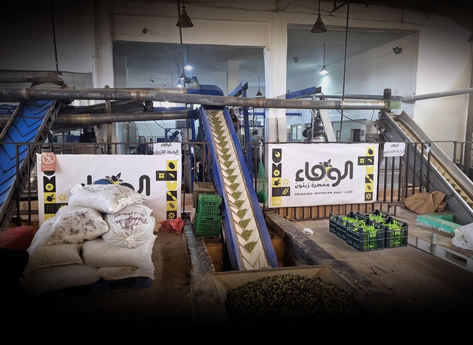 معصرة الوفاء... حيث تتحول حبات الزيتون إلى ذاكرةٍ وطنيةٍ تعبق بالكرامة