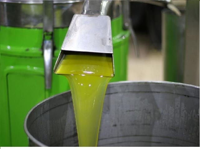 وزارة الزراعة تعلن استقبال طلبات استيراد زيت الزيتون