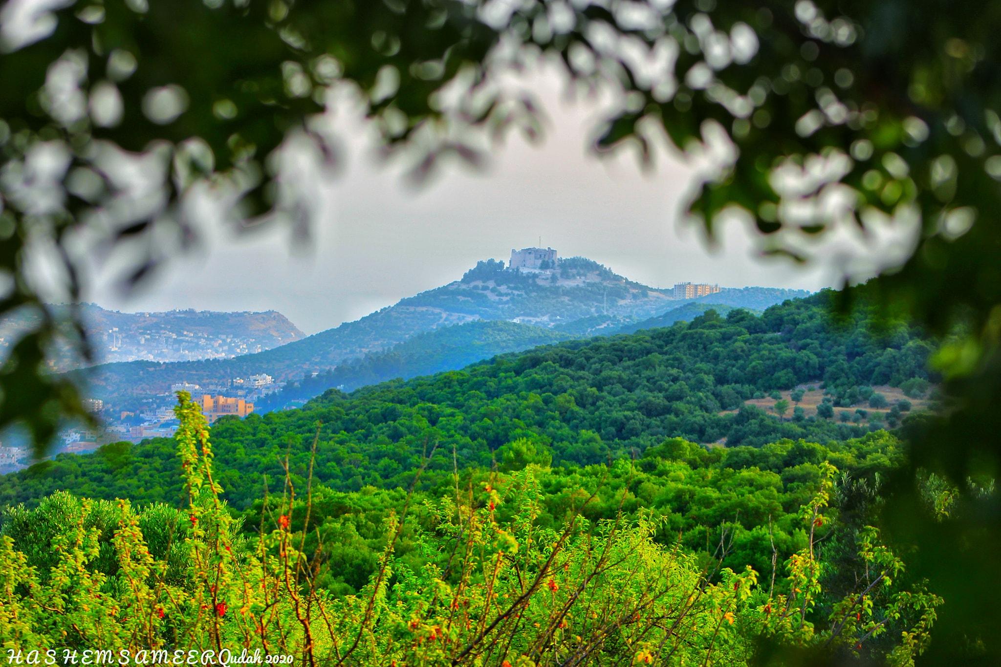 مبادرات شبابية في عجلون تعزز دور الشباب في التنمية المجتمعية