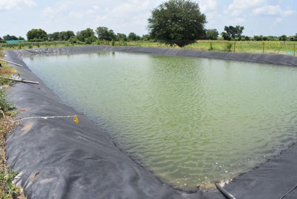 عجلون: الهطولات المطرية تعزز التوجه نحو مشروعات الحصاد المائي