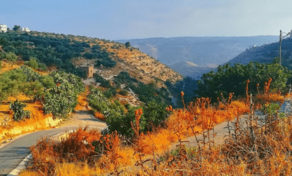 الأربعاء .. طقس لطيف ومعتدل .. ورياح مثيرة للغبار أحياناً