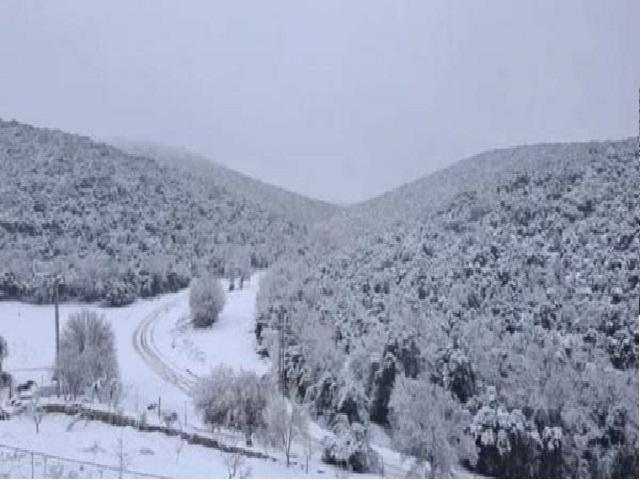 الأردن .. أول تساقط للثلوج بالموسم الشتوي فجر الاربعاء