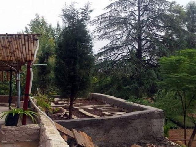 جرش: مشتل عين جملا إرث زراعي وبيئي يستأنف دوره في دعم التحريج