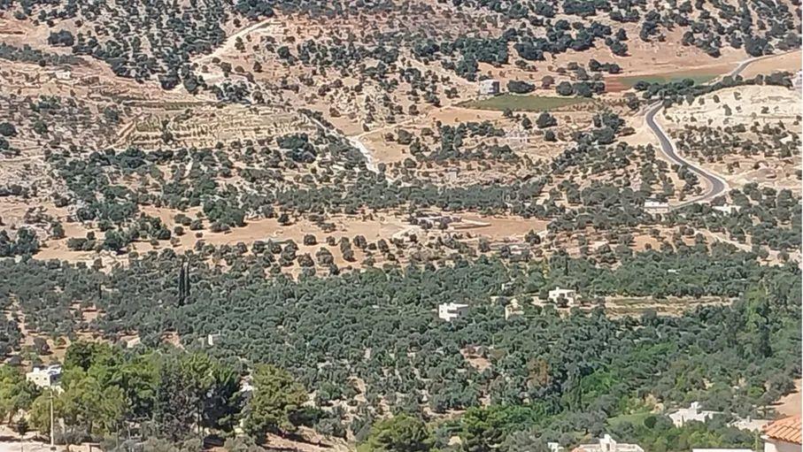 عجلون :قرية أبو الزيتون التراثية حكاية أصالة تجسد عمق التاريخ والهوية