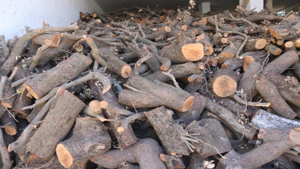 ضبط 8 أطنان من الأحطاب المقطوعة في جرش