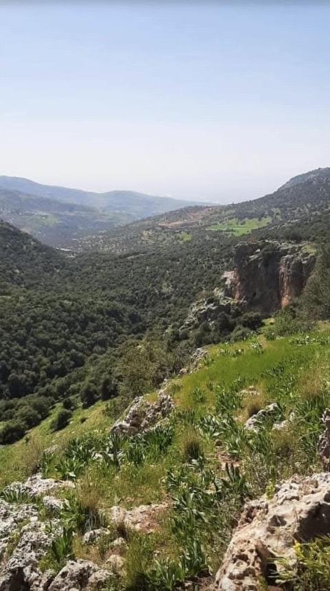 عراق الرهبان في عجلون.. كنز أثري بانتظار التأهيل والحماية